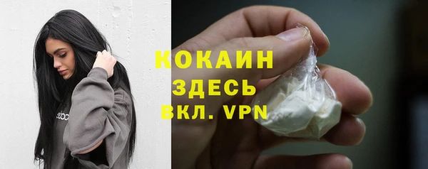 мет Арсеньев