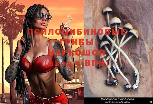 дживик Балабаново