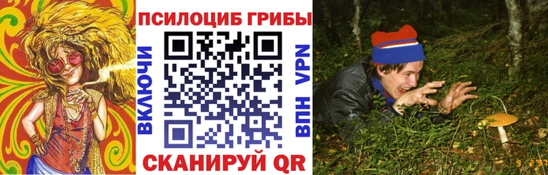 купить наркоту  Арамиль  Галлюциногенные грибы Cubensis 